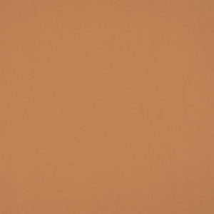 Polaris Blackout Standard Rollers Blind - Tan